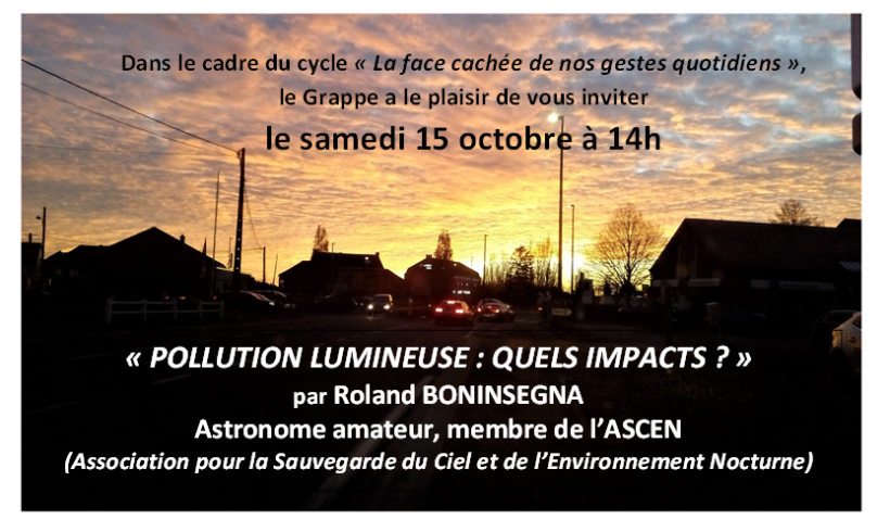 POLLUTION LUMINEUSE : QUELS IMPACTS ?
