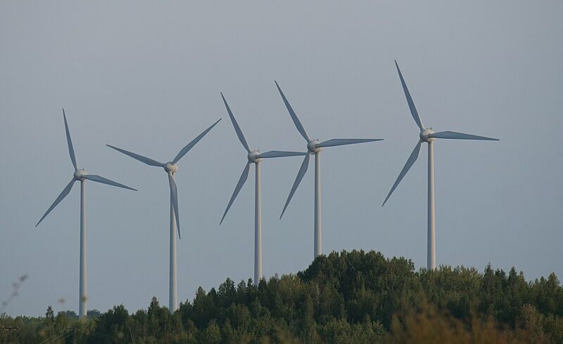 Éoliennes : pour limiter leurs dégâts