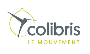 Brillants colibris et vrai développement Brillants colibris et vrai développement